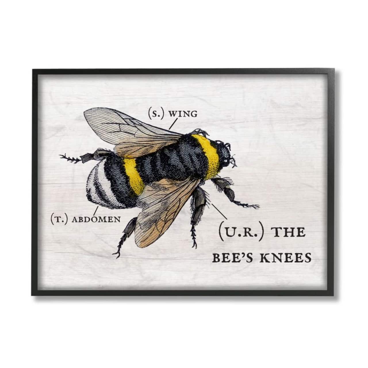 Stupell Industries Anatomy of Honey Bee Pun Black Framed Wall Art